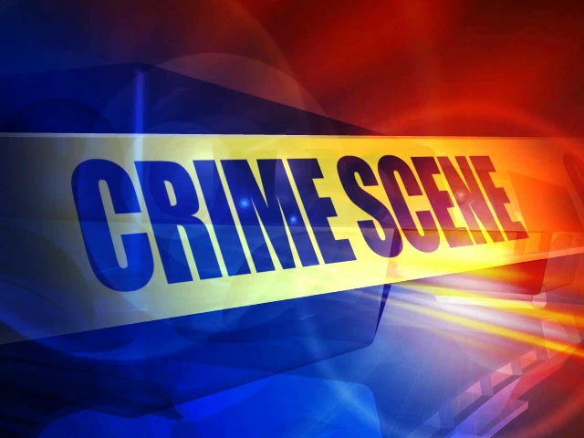 5 wounded when shots fired into crowd at Michigan party