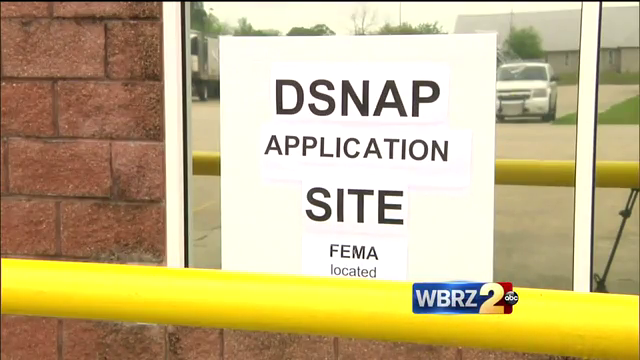 More than 100K households issued in DSNAP benefits during first two weeks