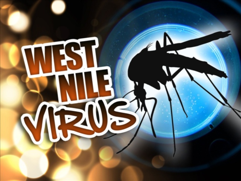 First West Nile virus death this year reported in Miss.