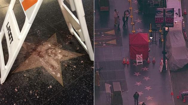 Suspect arrested in destruction of Trump's Hollywood star