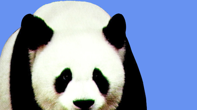 Jia Jia, world's oldest-ever captive panda, dies at 38