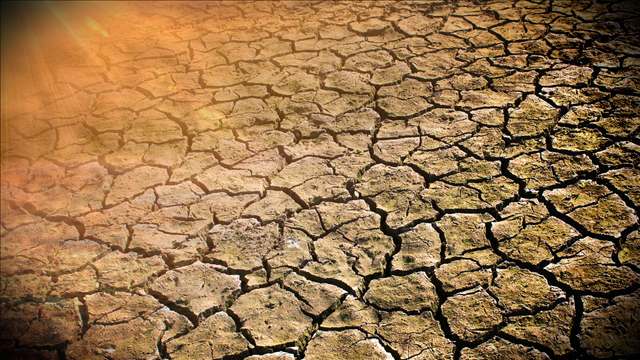 Deep South drought kills crops, threatens herds, dries lakes