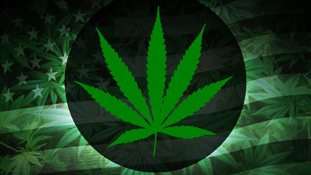 Gallup: Record high 60 percent of Americans back legal pot