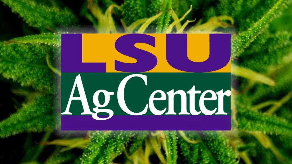 LSU AgCenter to hold medical marijuana public forum Oct. 28