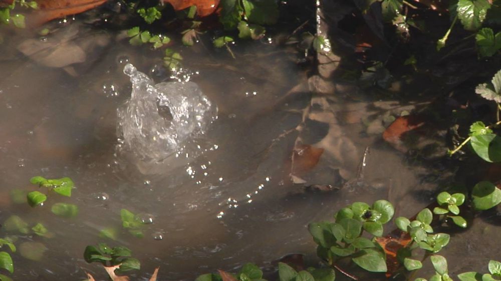 Sewage overflow creating mess for Slaughter woman