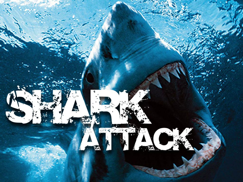 Police: Shark attacks surfer off Oregon coast