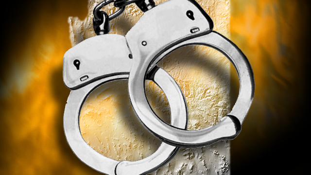 7 arrested in anti-terror raids, attack thwarted