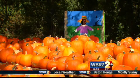 Explosion critically injures 1 at pumpkin flinging contest