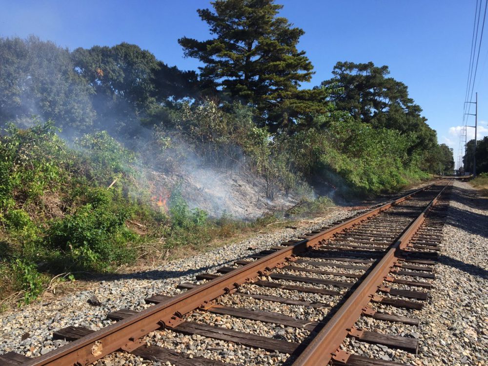 Small brush fire seen at BREC park near the City-Brooks golf course
