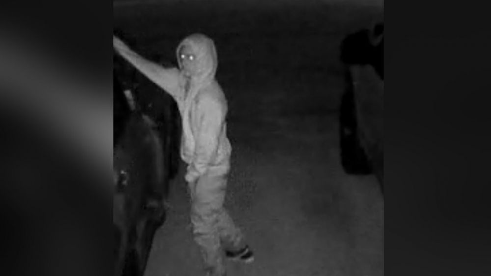 Thieves hit Central neighborhood; Guns stolen from vehicles