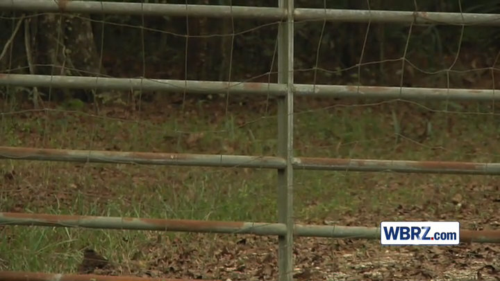 Proposed gun range concerns Livingston residents