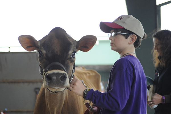 PotashCorp gives $50K for livestock showmanship cash awards