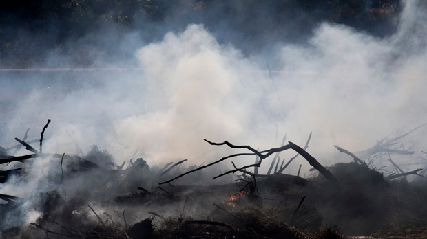 With fires under control, Israel turns to recovery efforts