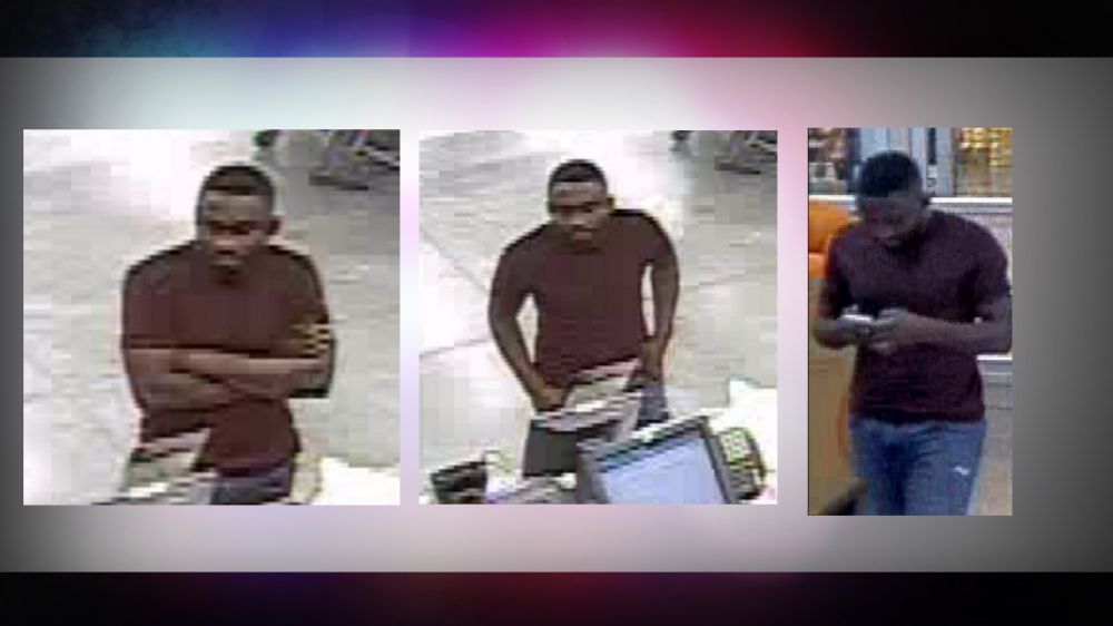 Police searching for puppy seller who stole $1,800