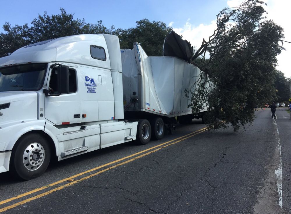 WATCH: Trucker snags tree, nearly crashes passing car