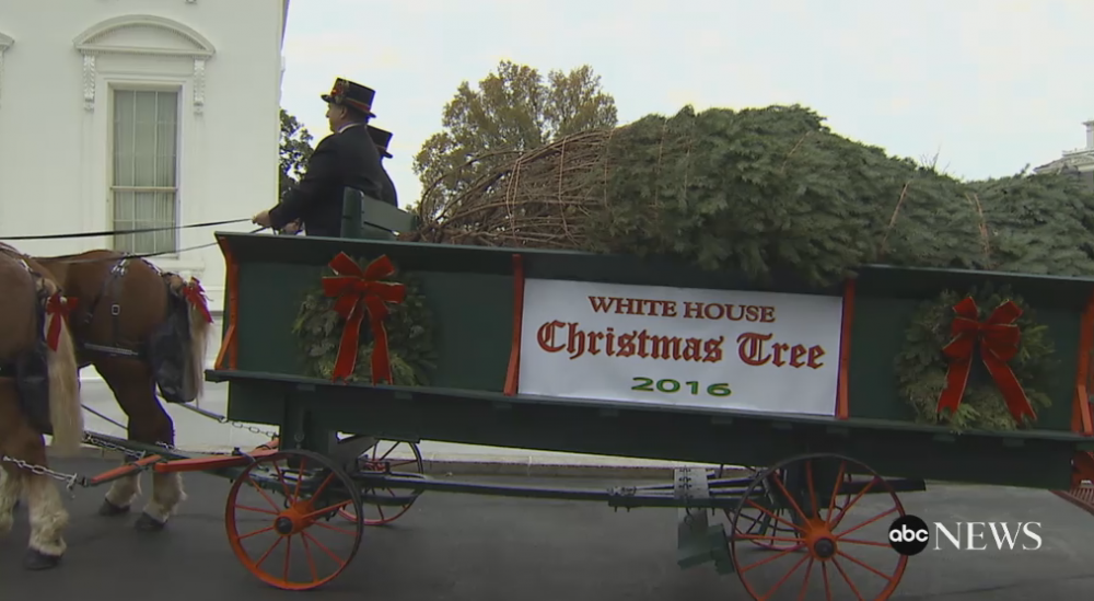First lady accepts White House Christmas tree from Wisconsin