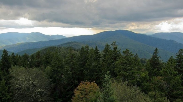 Authorities: Small plane crashed in Tennessee, no survivors