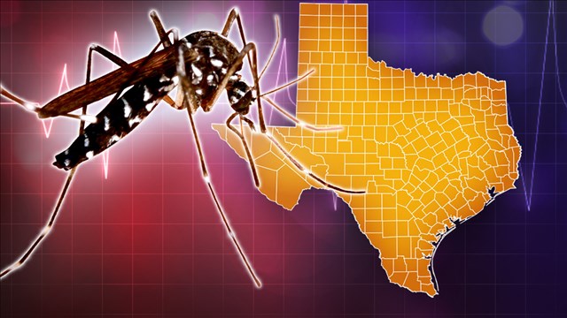 CDC issues Texas city warning for pregnant women after Zika