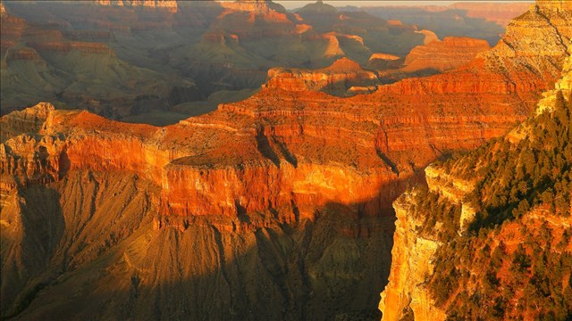 Family rescue at Grand Canyon a "Christmas miracle"