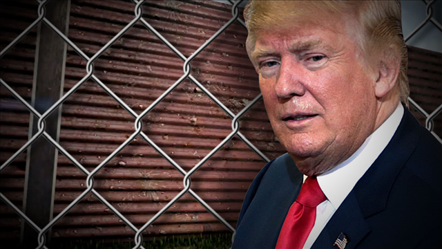 Big business warns Trump against mass deportation
