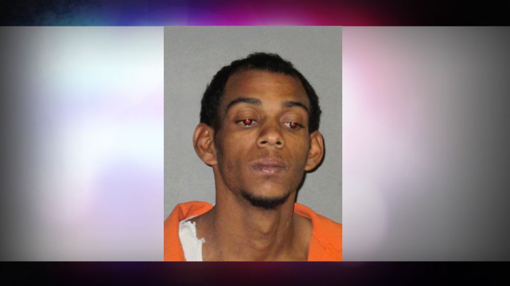 Fugitive charged for attempted carjacking on Government Street