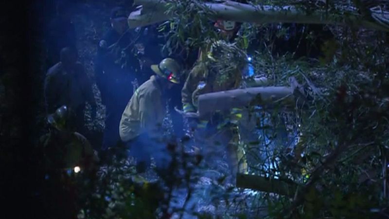 1 dead, 5 hurt after tree falls on Los Angeles wedding party