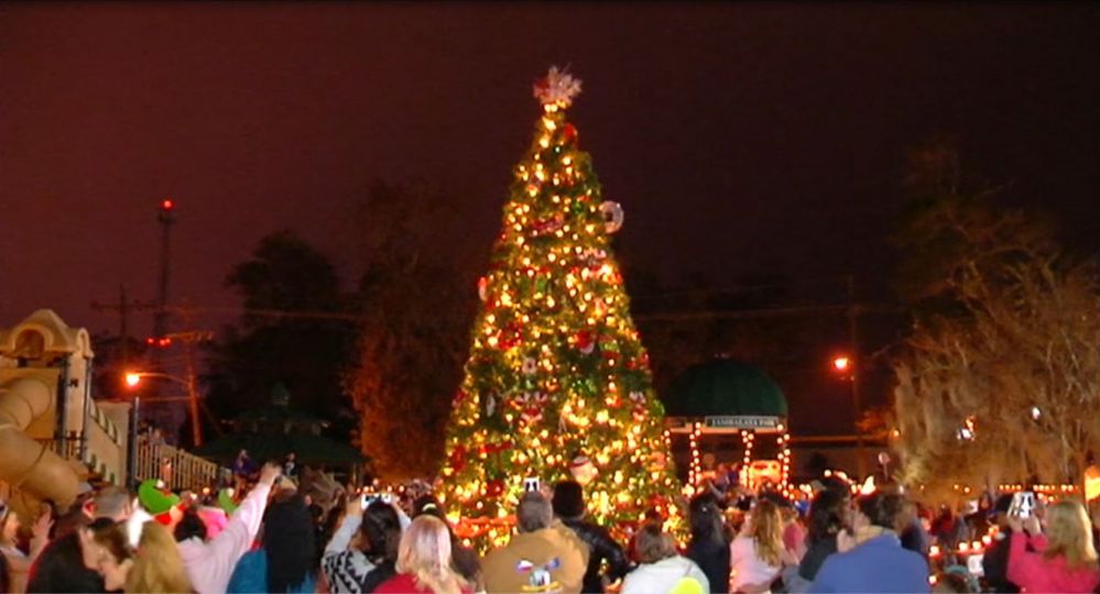 Gonzales celebrates tree lighting despite vandalism