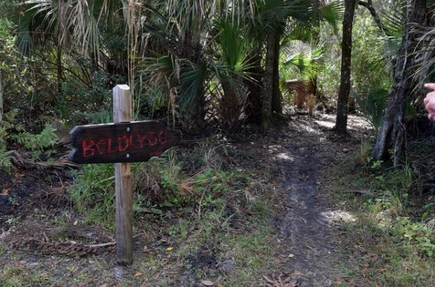 Florida woman in half-marathon lost for 12 hours, then found