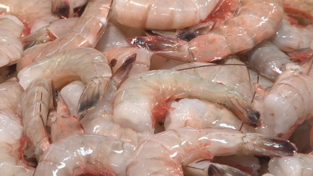 White shrimp season closing Monday in most of Louisiana