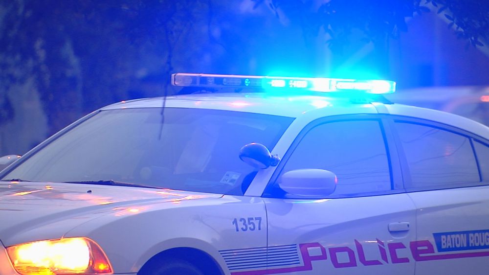 More than a dozen arrested after overnight warrant sweep