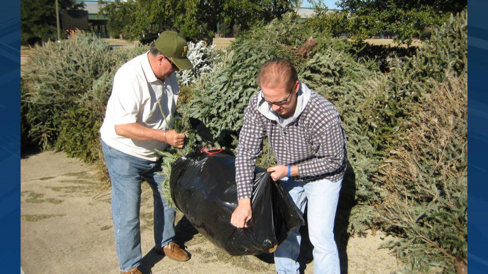 Ascension to hold Christmas tree drop off event on Jan. 3