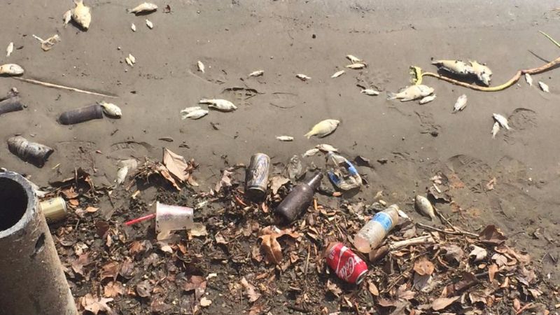 Fish kills over at oxbow lake in Pointe Coupee Parish