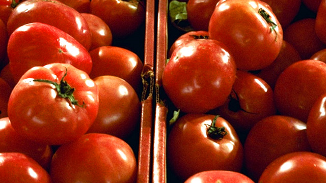Genes may help grocery tomatoes catch up to heirloom taste
