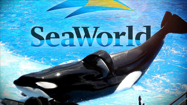 SeaWorld: Tilikum, orca that killed trainer, has died