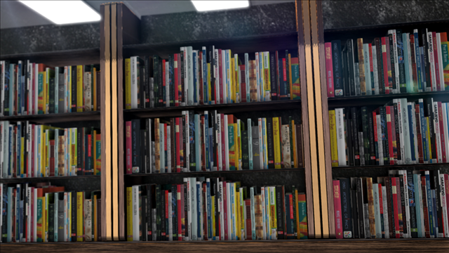 Florida librarians create fake patron to keep books