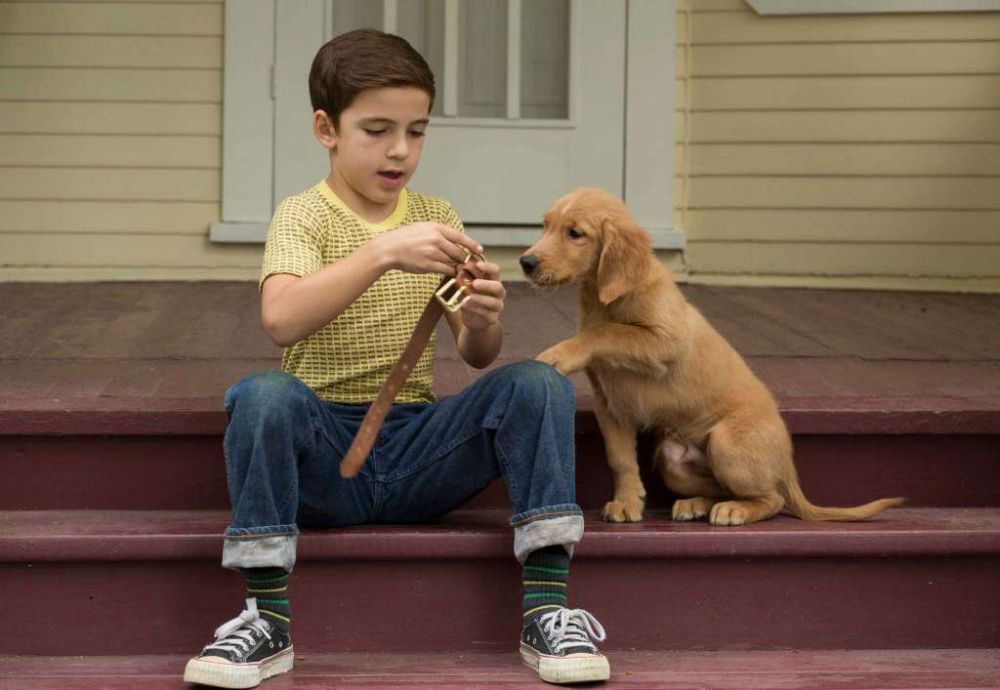 'A Dog's Purpose' opens to $18.4 million amid controversy