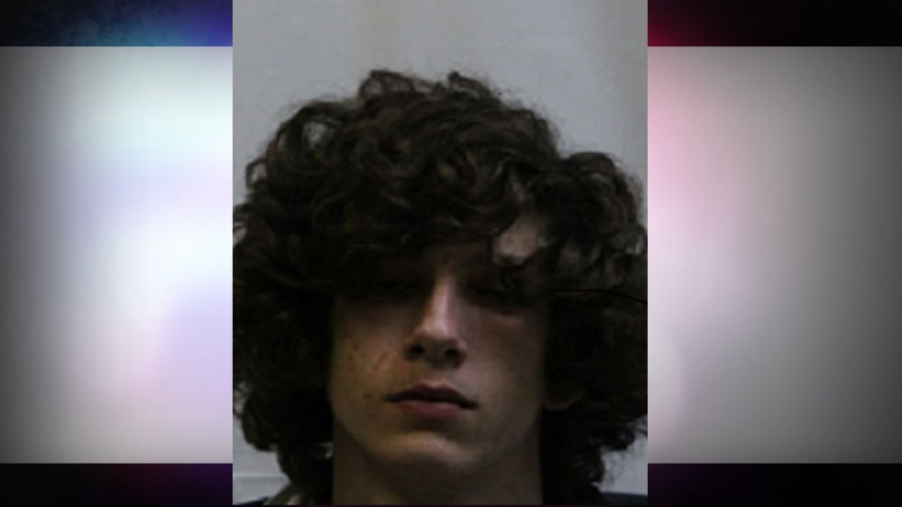 Juvenile, man arrested in Assumption firearm burglary