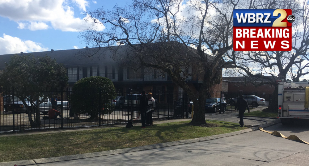 Tigerland apartment destroyed in fire