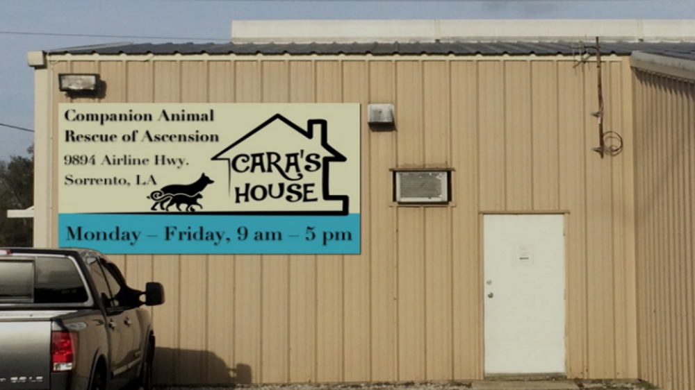 Cara's House animal shelter awarded $50,000 for post-flood expansion