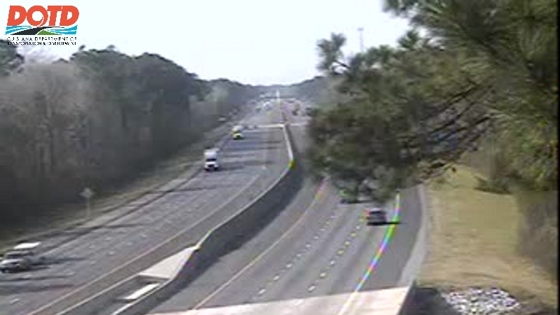 Body discovered under I-12 bridge in Walker