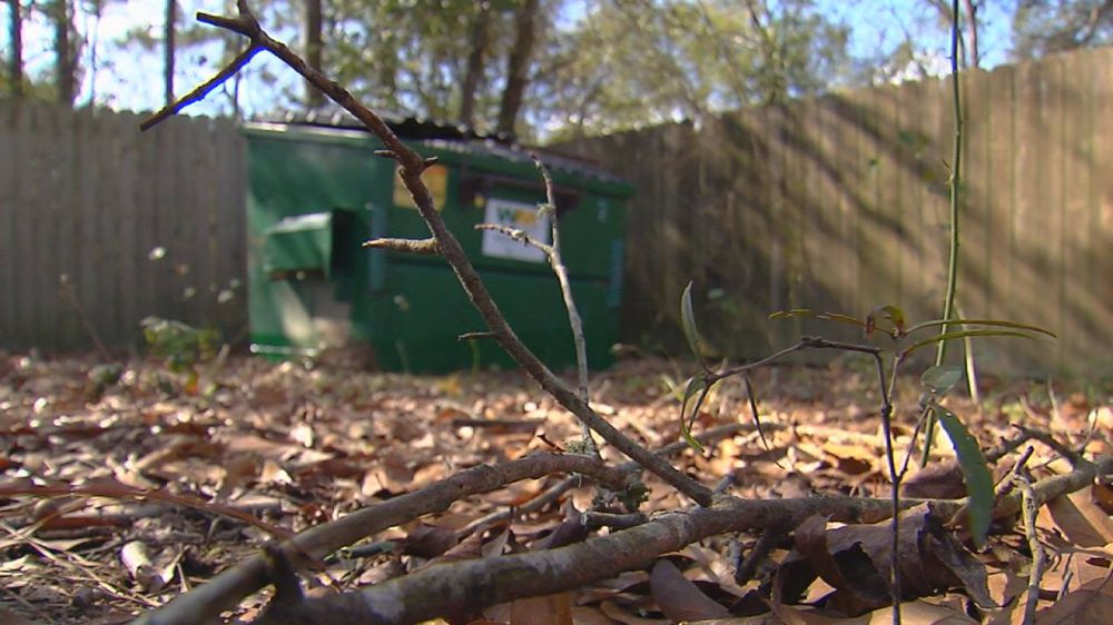 Unique flood debris stinking up yard