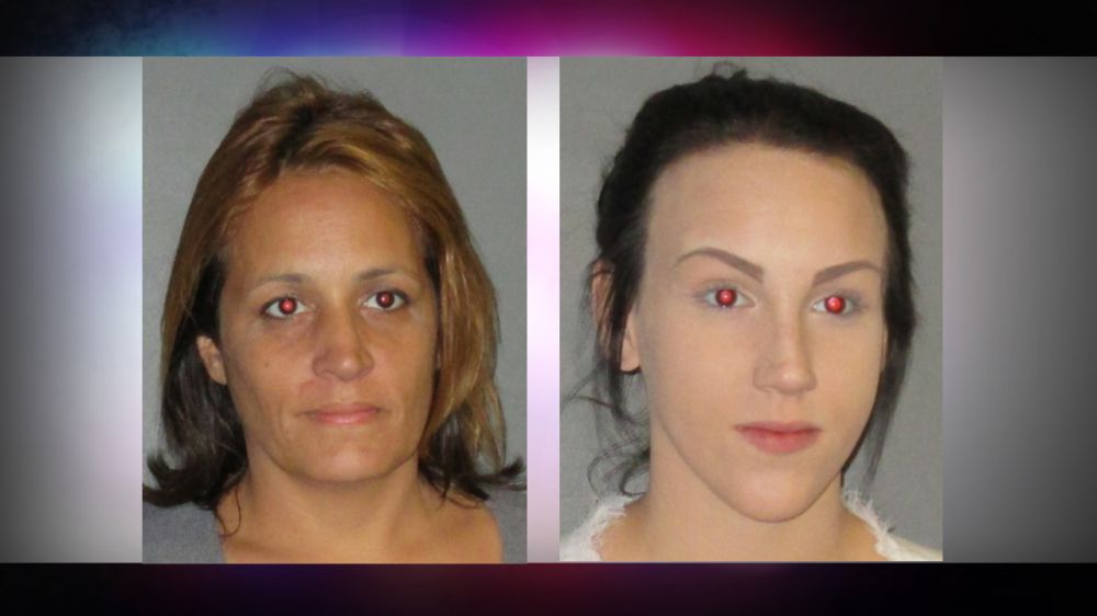 Two in "Felony Lang Gang" arrested for several vehicle burglaries, fraud crimes