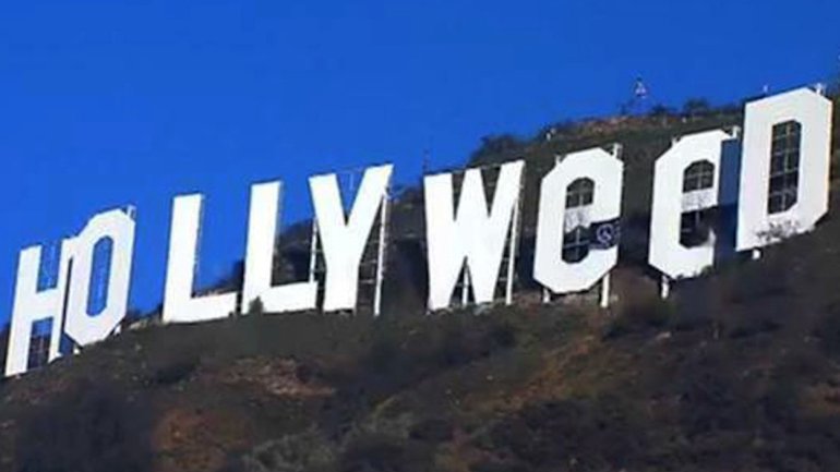 Man arrested in the case of the 'HOLLYWeeD' sign