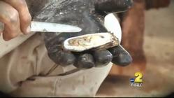 Louisiana to close oyster harvest in part of Calcasieu lake