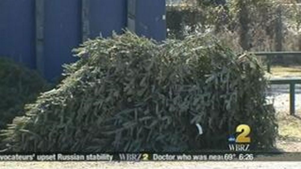 Curbside Christmas tree collection for EBR begins Jan. 9