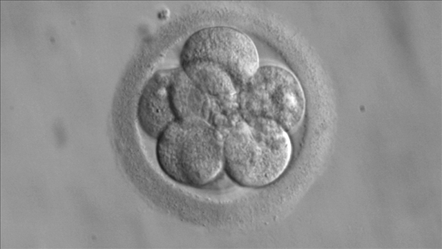 Scientists looking to alter genes to fight disease