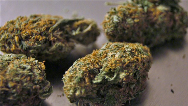 Pediatricians warn against pot use: Not your dad's marijuana