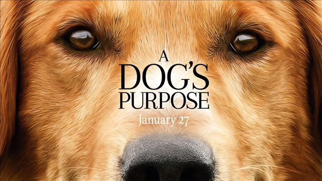American Humane: Third-party report clears 'A Dog's Purpose'