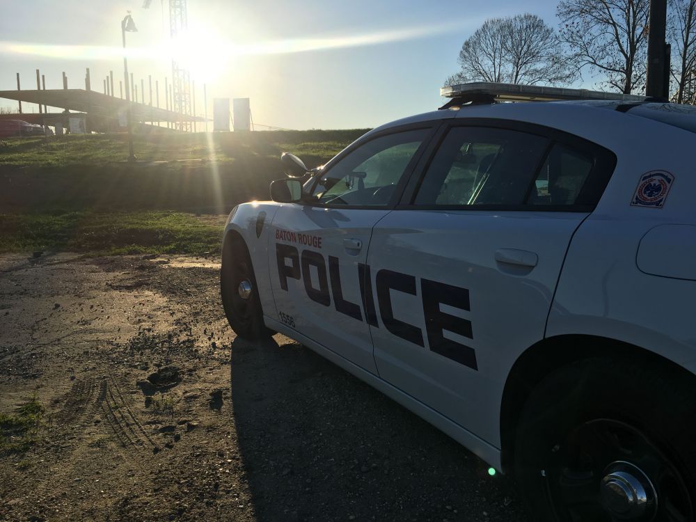 Remains found near construction site not human