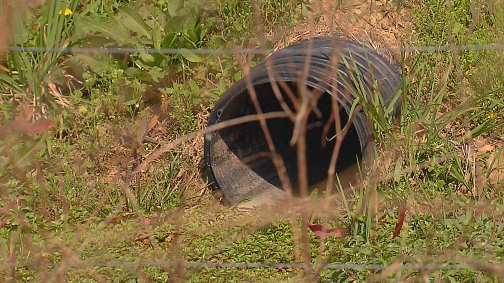 Homeowner blames neighbor's culvert for flooding